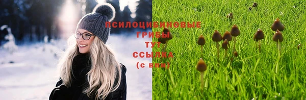 трава Алексин