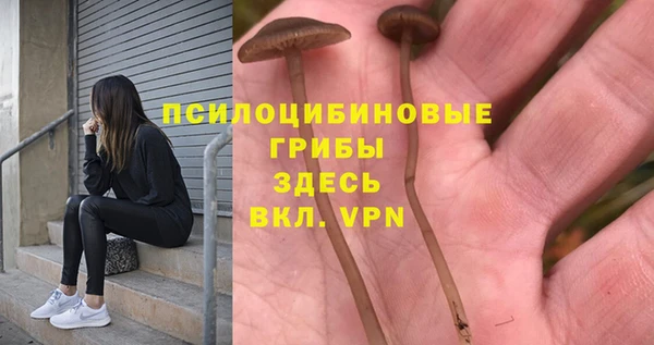 соль курить ск Алзамай